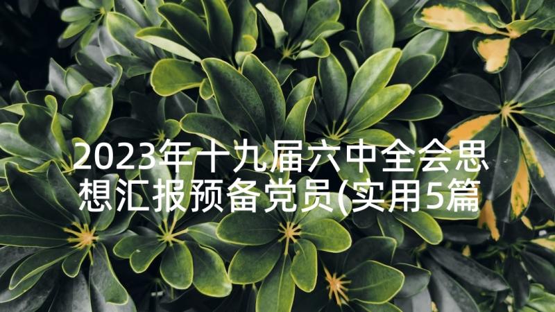 2023年十九届六中全会思想汇报预备党员(实用5篇)