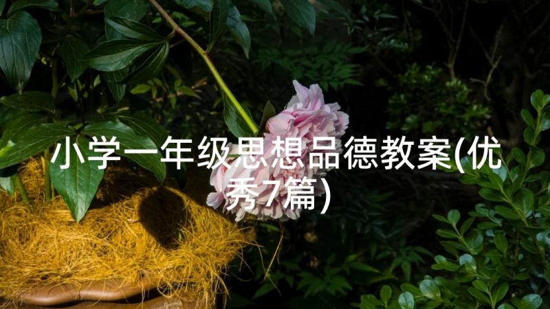 小学一年级思想品德教案(优秀7篇)