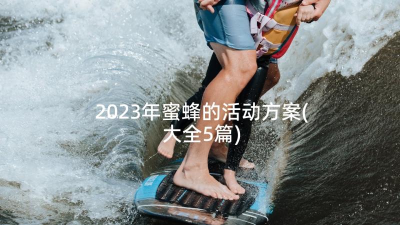 2023年蜜蜂的活动方案(大全5篇)