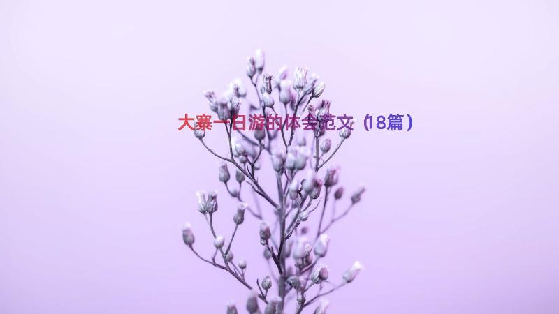 大寨一日游的体会范文（18篇）