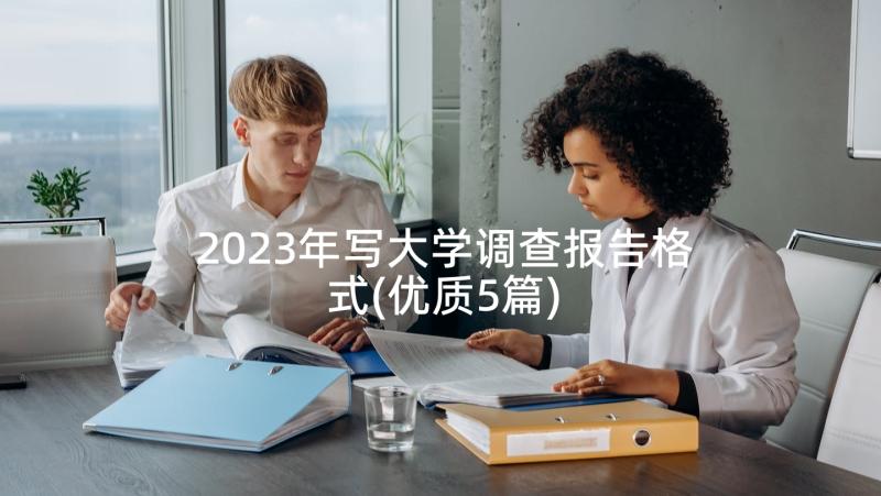 2023年写大学调查报告格式(优质5篇)