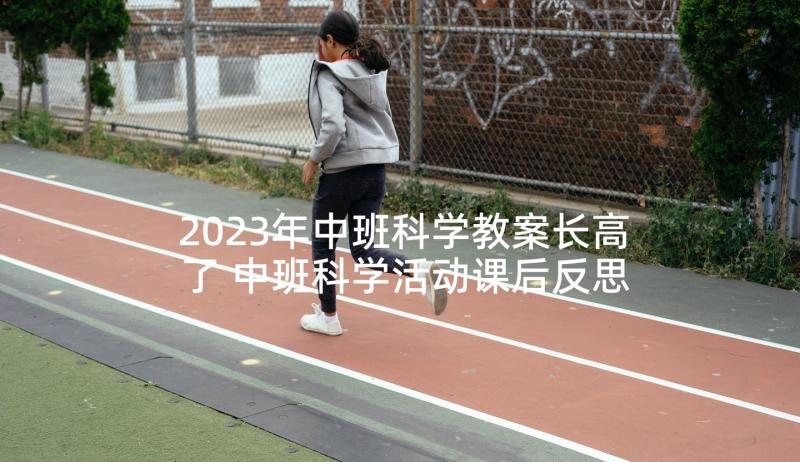 2023年中班科学教案长高了 中班科学活动课后反思(模板10篇)