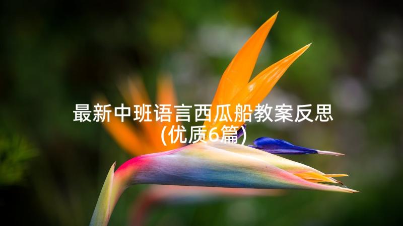 最新中班语言西瓜船教案反思(优质6篇)