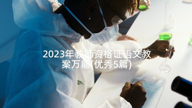 2023年教师资格证语文教案万能(优秀5篇)