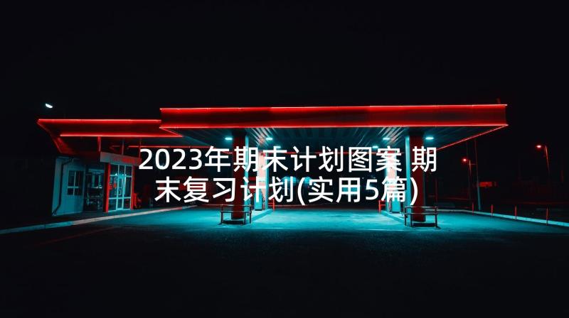 2023年期末计划图案 期末复习计划(实用5篇)