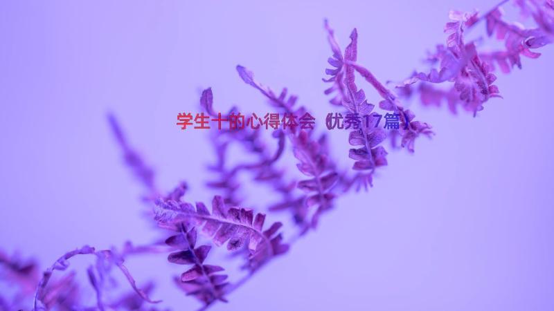 学生十的心得体会（优秀17篇）