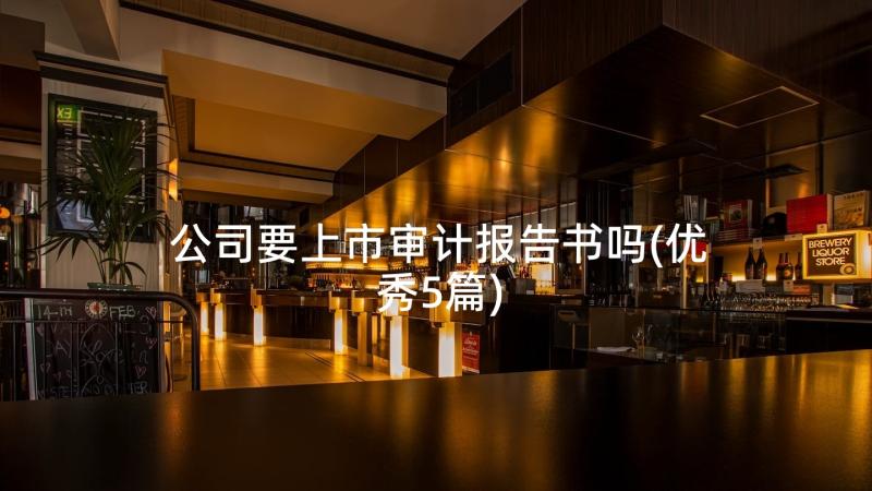 公司要上市审计报告书吗(优秀5篇)