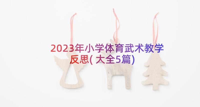 2023年小学体育武术教学反思(大全5篇)