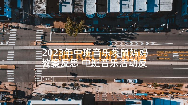 2023年中班音乐袋鼠妈妈教案反思 中班音乐活动反思(优秀8篇)