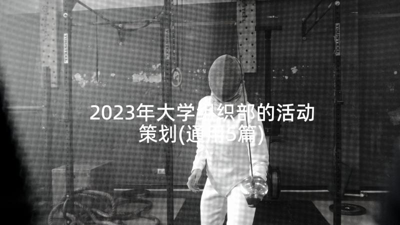 2023年大学组织部的活动策划(通用5篇)