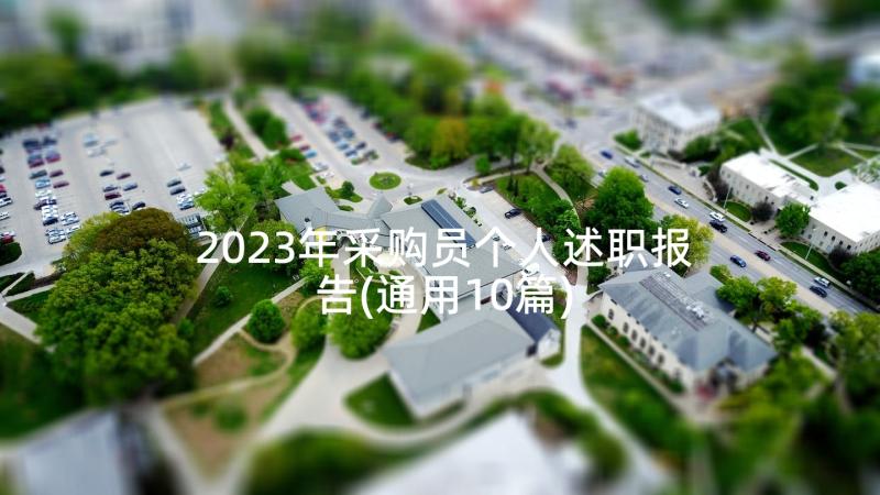 2023年采购员个人述职报告(通用10篇)