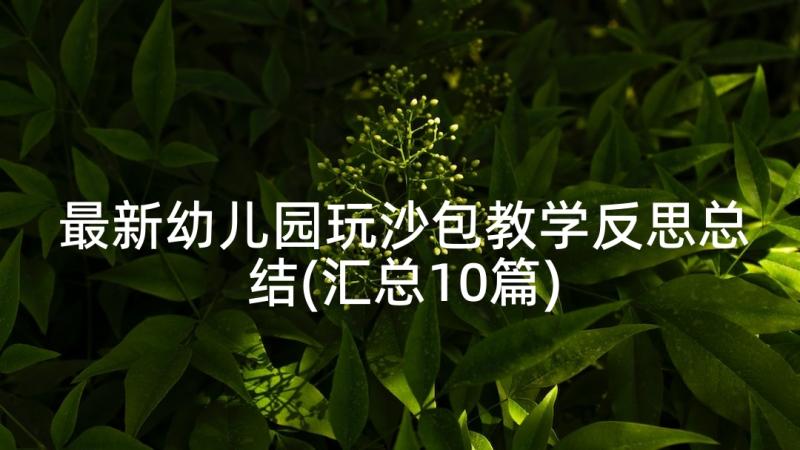 最新幼儿园玩沙包教学反思总结(汇总10篇)