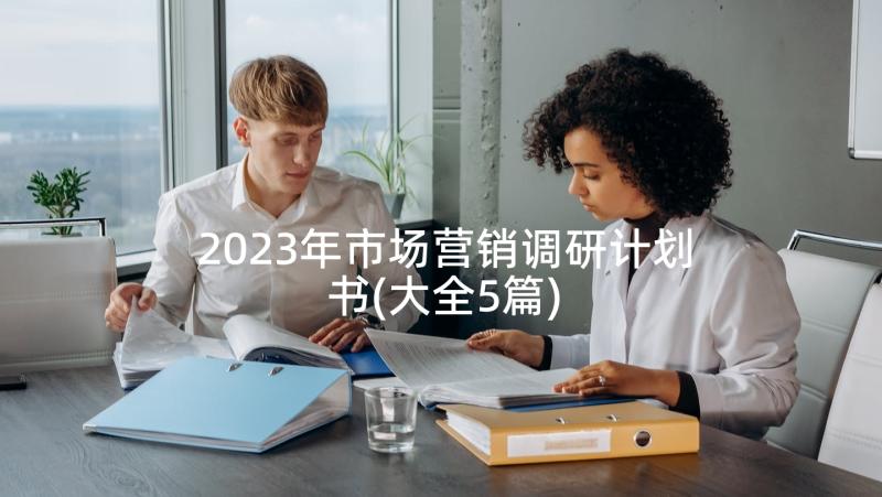 2023年市场营销调研计划书(大全5篇)