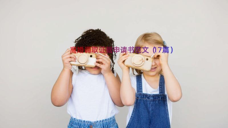 离婚调取证据申请书范文（17篇）