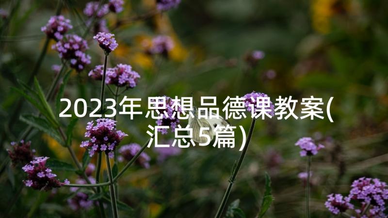 2023年思想品德课教案(汇总5篇)