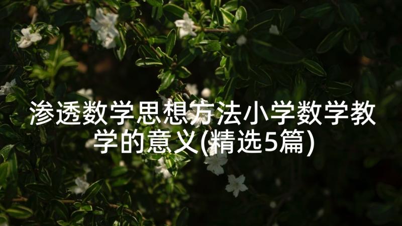 渗透数学思想方法小学数学教学的意义(精选5篇)