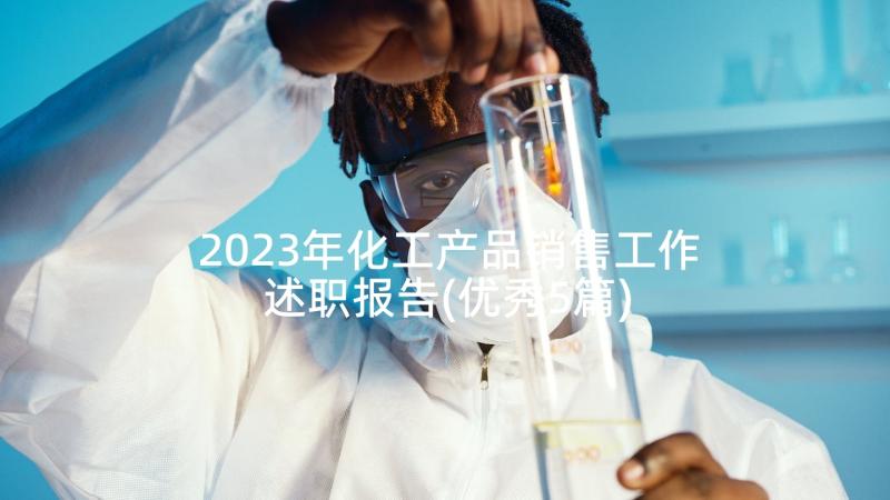 2023年化工产品销售工作述职报告(优秀5篇)