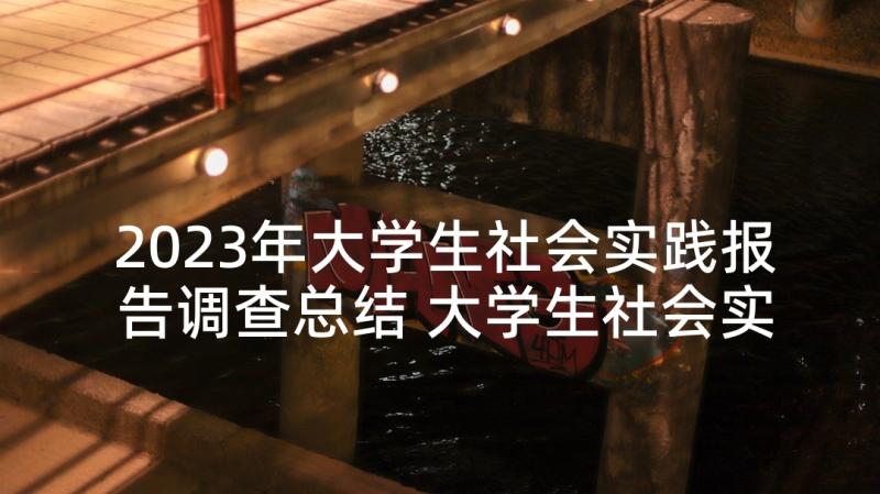 2023年大学生社会实践报告调查总结 大学生社会实践调查报告(大全7篇)