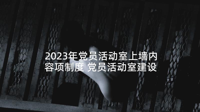 2023年党员活动室上墙内容项制度 党员活动室建设方案(汇总10篇)