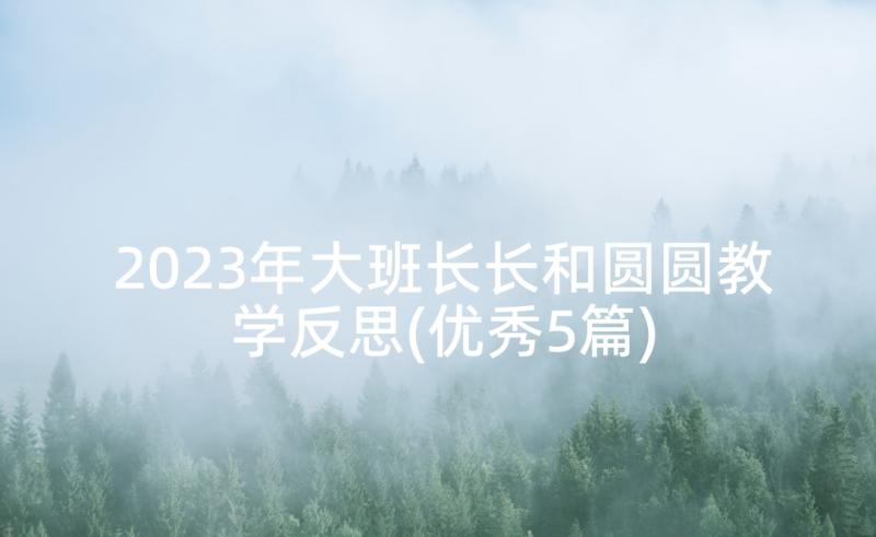 2023年大班长长和圆圆教学反思(优秀5篇)