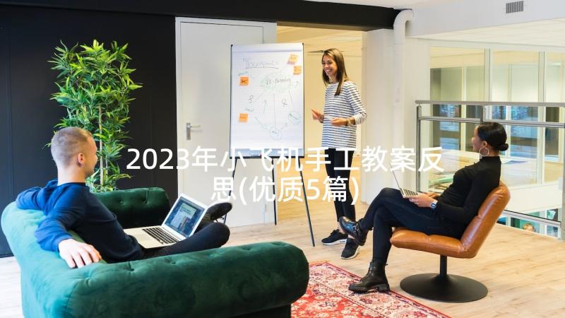 2023年小飞机手工教案反思(优质5篇)