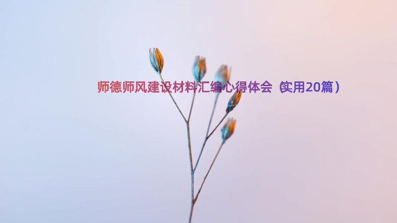 师德师风建设材料汇编心得体会（实用20篇）