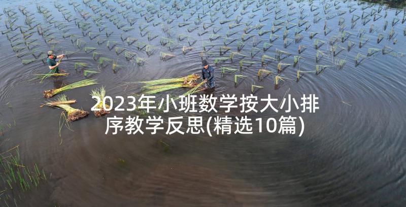 2023年小班数学按大小排序教学反思(精选10篇)