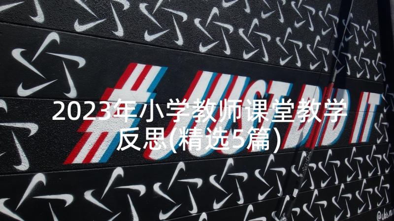 2023年小学教师课堂教学反思(精选5篇)