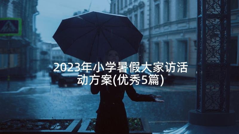 2023年小学暑假大家访活动方案(优秀5篇)