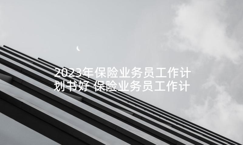 2023年保险业务员工作计划书好 保险业务员工作计划(精选8篇)