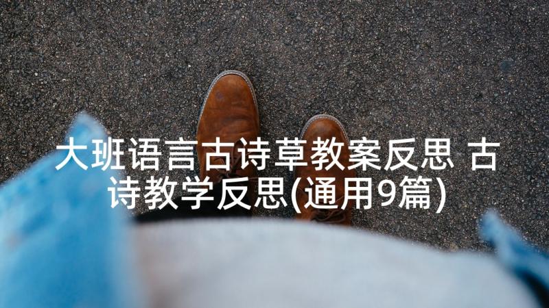 大班语言古诗草教案反思 古诗教学反思(通用9篇)