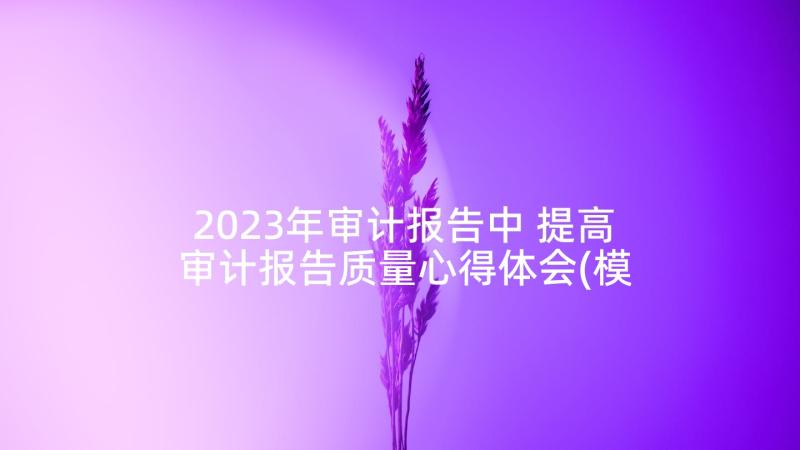 2023年审计报告中 提高审计报告质量心得体会(模板10篇)