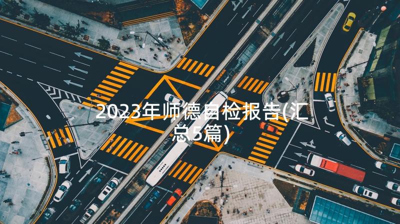 2023年师德自检报告(汇总5篇)