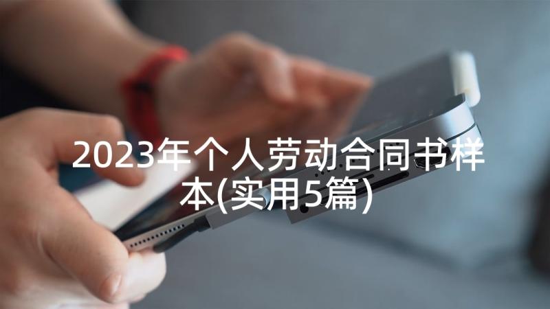 2023年个人劳动合同书样本(实用5篇)