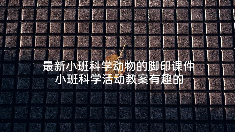 最新小班科学动物的脚印课件 小班科学活动教案有趣的小动物(大全5篇)