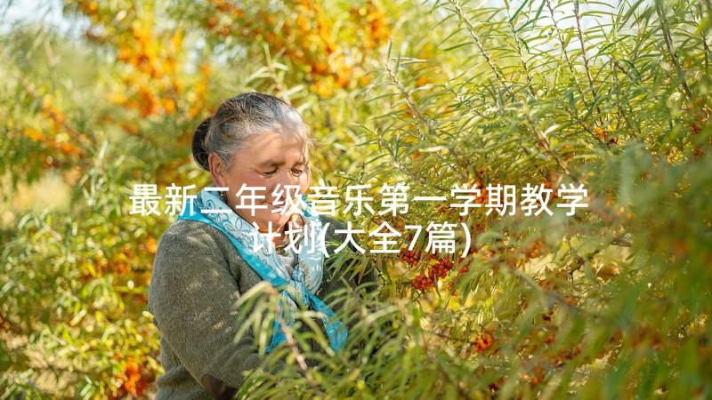 最新二年级音乐第一学期教学计划(大全7篇)