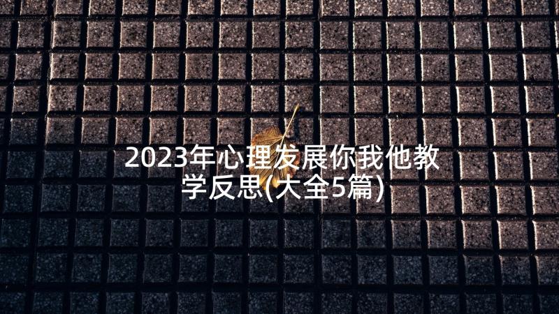 2023年心理发展你我他教学反思(大全5篇)