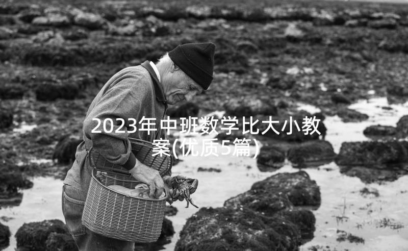 2023年中班数学比大小教案(优质5篇)