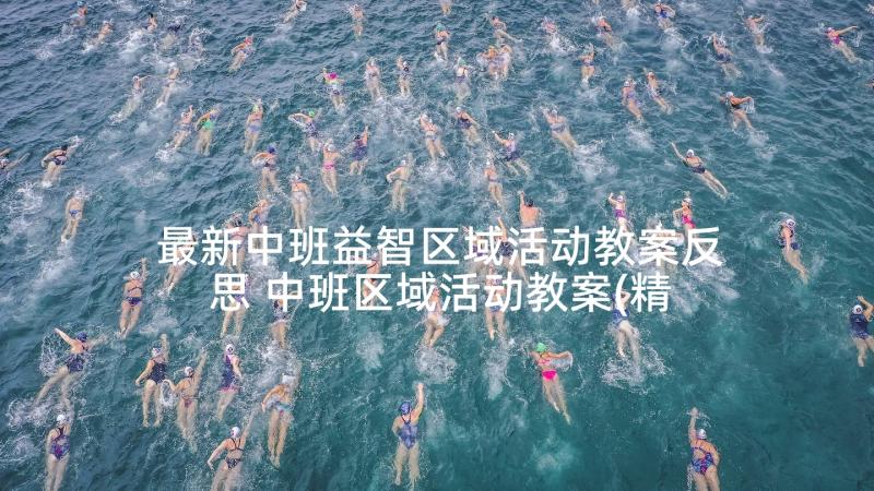 最新中班益智区域活动教案反思 中班区域活动教案(精选5篇)