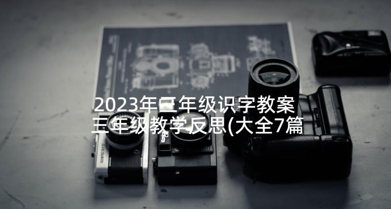 2023年三年级识字教案 三年级教学反思(大全7篇)