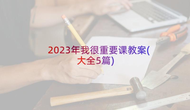 2023年我很重要课教案(大全5篇)