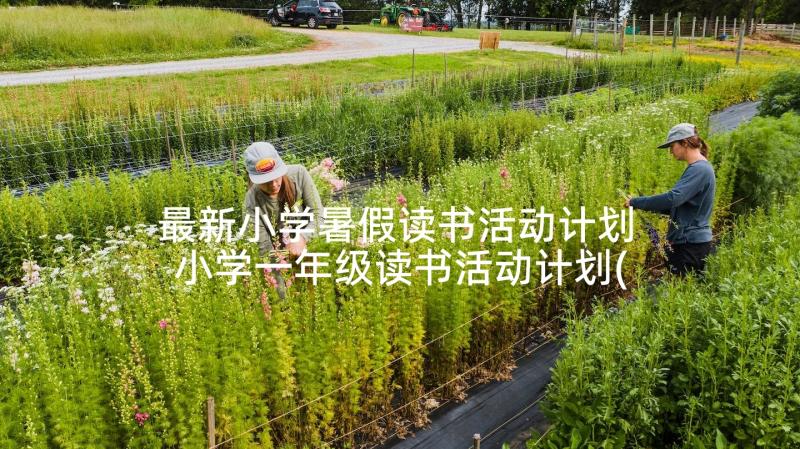 最新小学暑假读书活动计划 小学一年级读书活动计划(大全5篇)