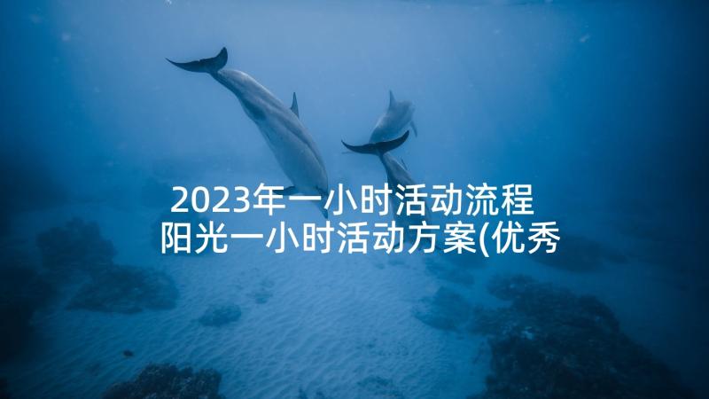 2023年一小时活动流程 阳光一小时活动方案(优秀6篇)