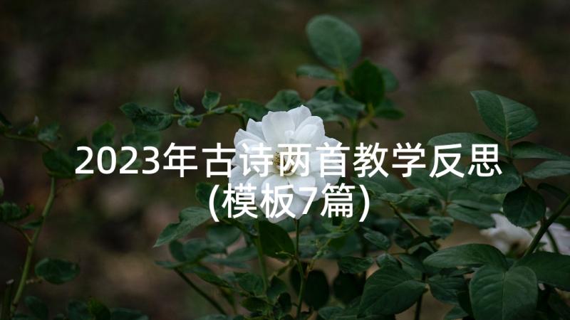 2023年古诗两首教学反思(模板7篇)