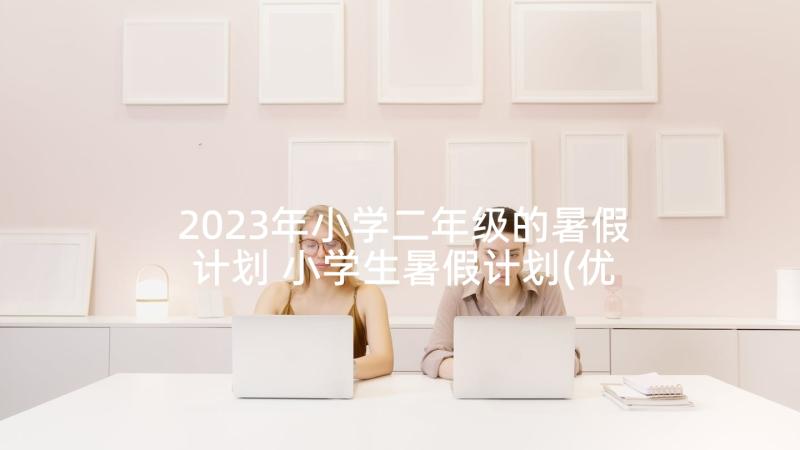 2023年小学二年级的暑假计划 小学生暑假计划(优秀6篇)