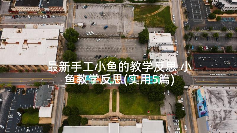 最新手工小鱼的教学反思 小鱼教学反思(实用5篇)