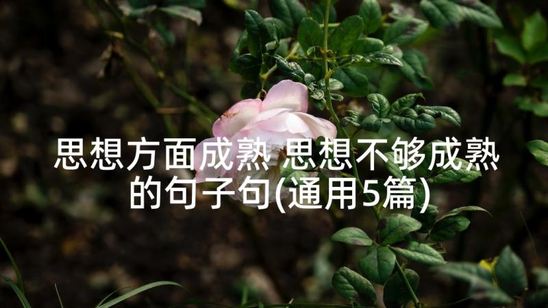 思想方面成熟 思想不够成熟的句子句(通用5篇)