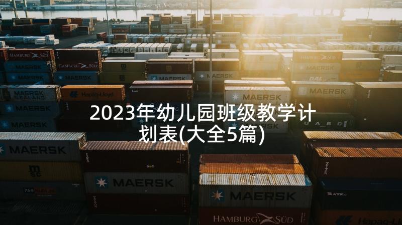 2023年幼儿园班级教学计划表(大全5篇)