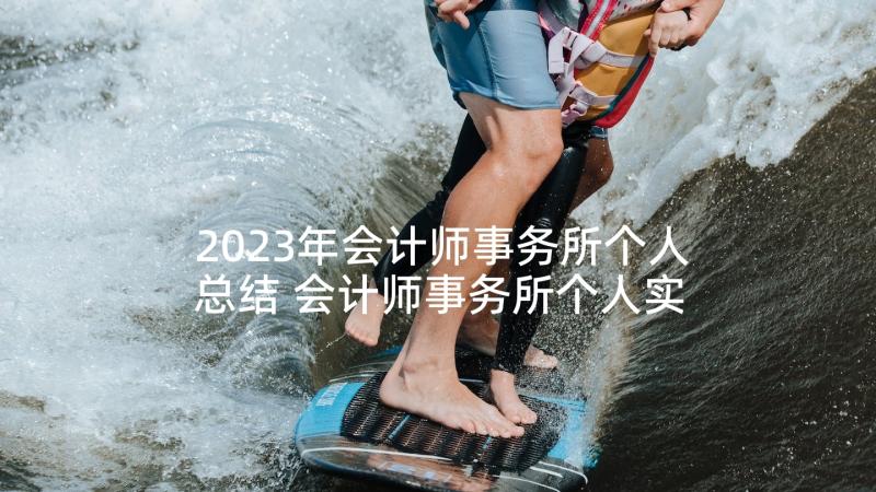 2023年会计师事务所个人总结 会计师事务所个人实习总结(优质7篇)