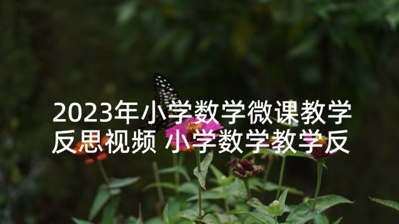 2023年小学数学微课教学反思视频 小学数学教学反思(优质9篇)